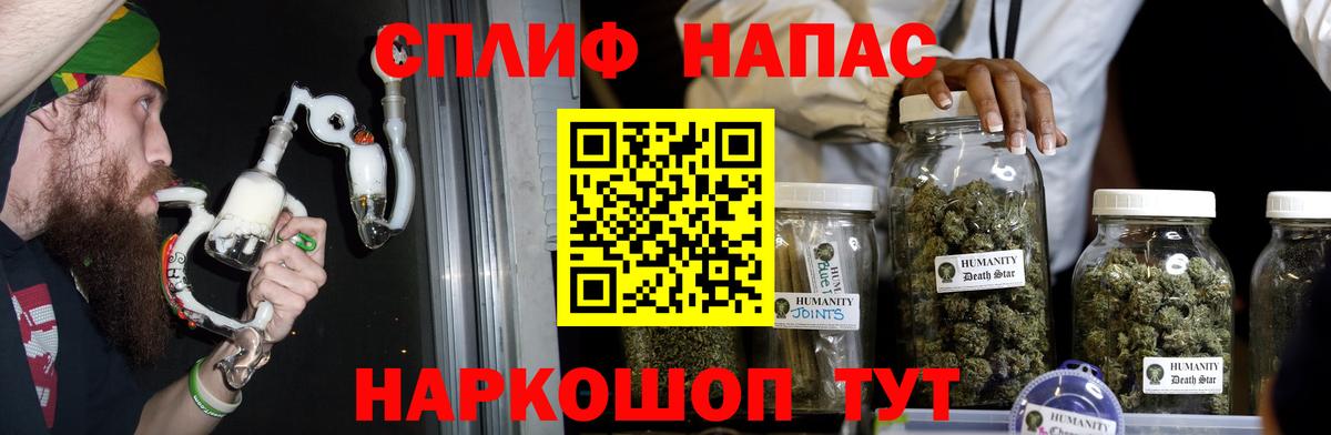 Бошки Шишки план Алушта